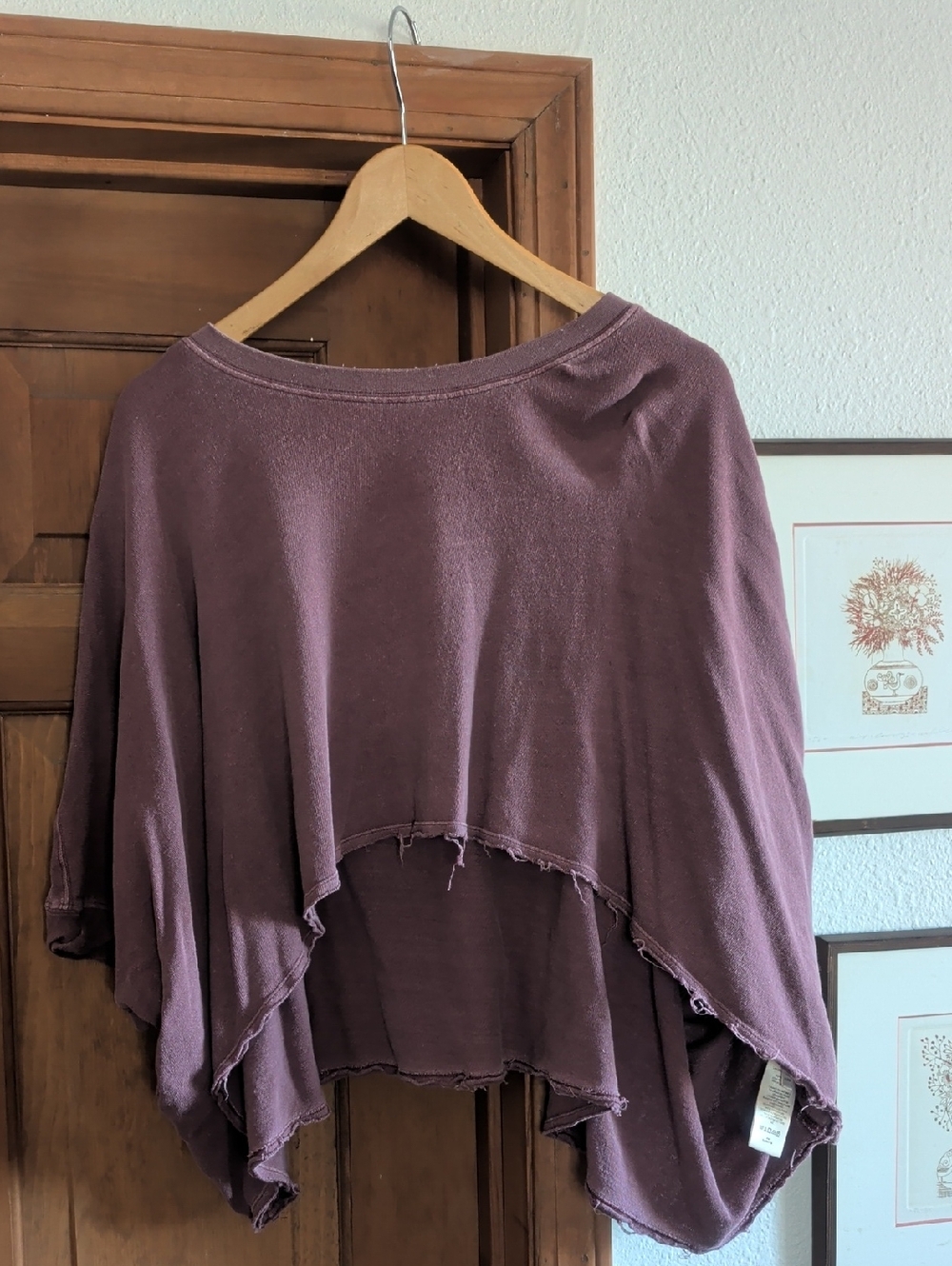 We The Free Raw Hem Cropped Top in Mauve Plum